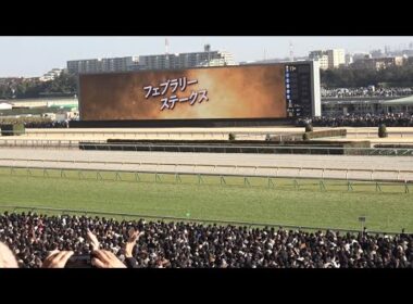 【フェブラリーS2026】レース前のカッコいい煽りV〜G1ファンファーレ【現地】