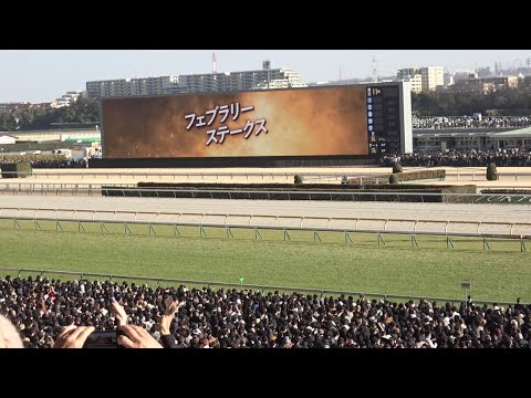 【フェブラリーS2026】レース前のカッコいい煽りV〜G1ファンファーレ【現地】