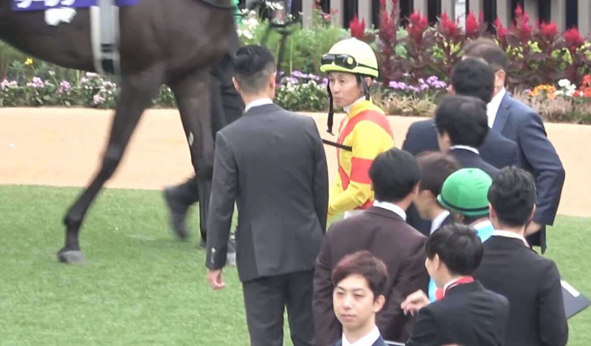 【現地 パドック各陣営の様子】2025 G1 秋華賞 【京都競馬場】