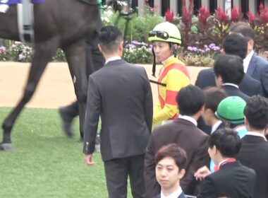 【現地 パドック各陣営の様子】2025 G1 秋華賞 【京都競馬場】
