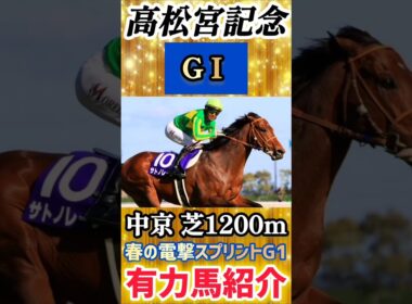 【高松宮記念2026(GⅠ)】春の電撃スプリント！有力馬4頭を紹介！#競馬 #競馬予想 #jra #おすすめ #高松宮記念 #shorts #short