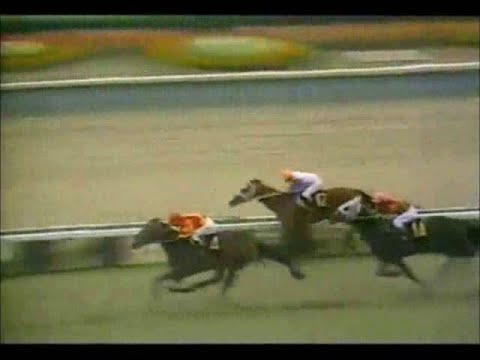 1971年皐月賞　野武士ヒカルイマイが豪快に追い込み決める！　～ラジオ関東