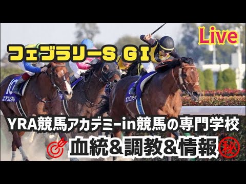 【フェブラリーS2026】メンバーシップ会員限定ライブ配信公開 調教&血統診断