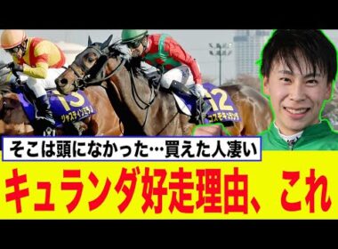 穴馬コスモキュランダ、有馬記念で好走を見せたとんでもない理由が判明するww【競馬】【2chスレ】【5ch】【反応集】