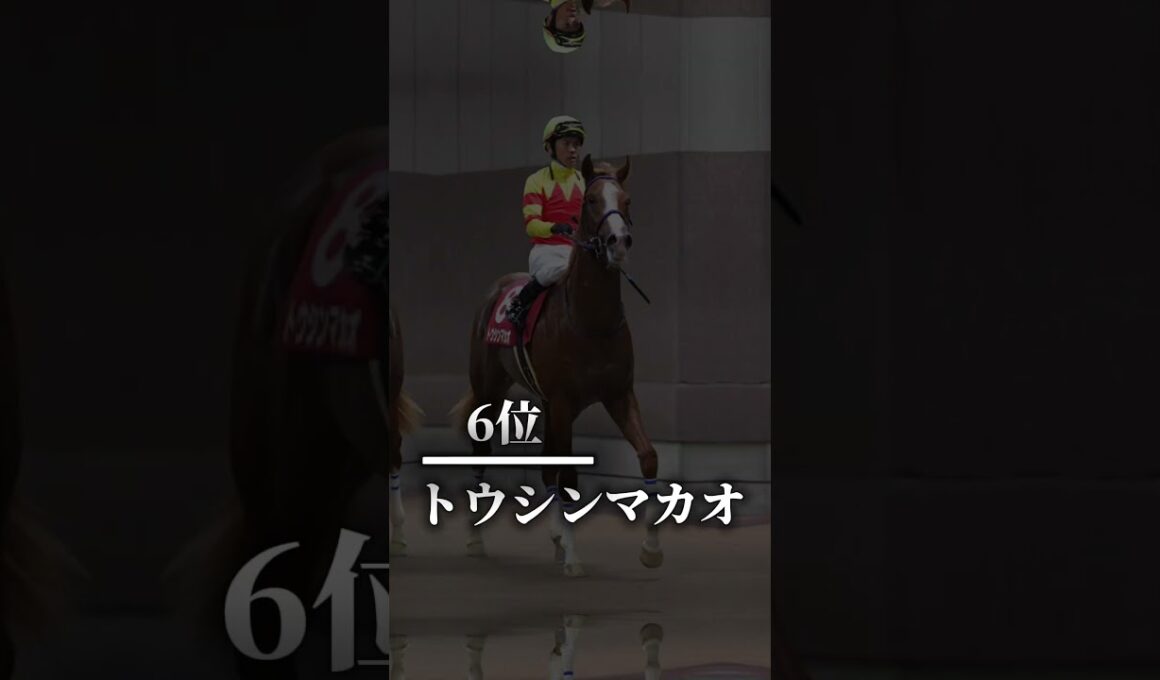 [高松宮記念]評価ランキング。みんなの期待馬は？#高松宮記念予想 #競馬
