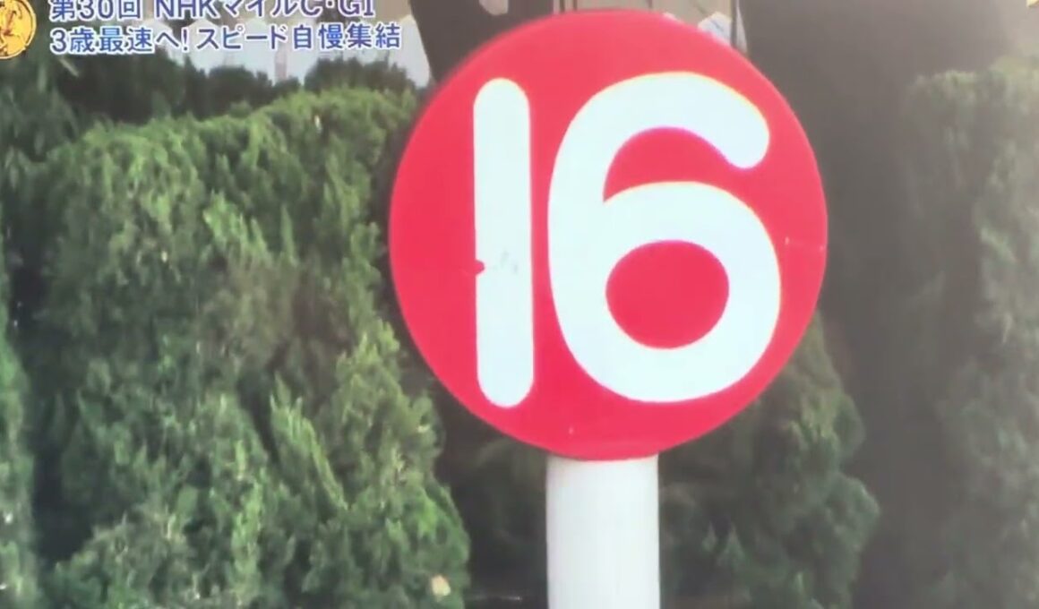 2025年 NHKマイルカップ ファンファーレ🎶 通常ver.