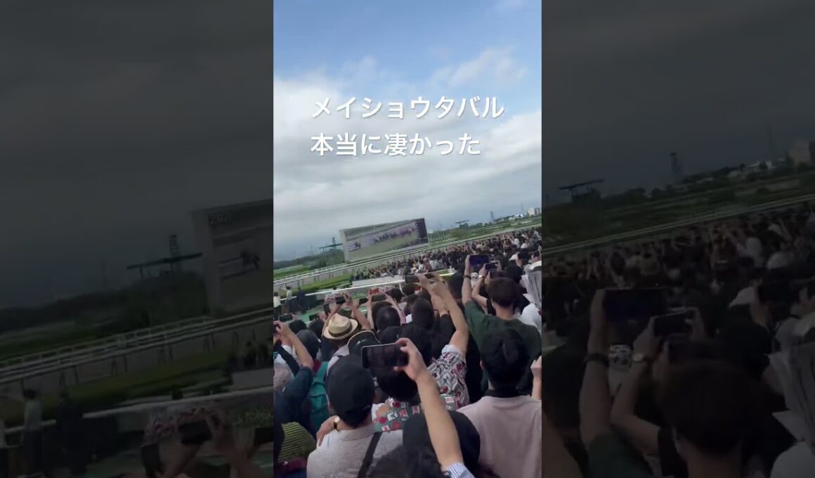 [宝塚記念2025]最後のゴール前映像