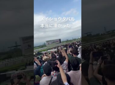 [宝塚記念2025]最後のゴール前映像