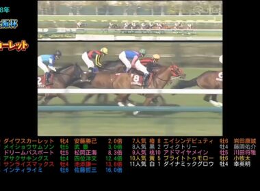 2008年産経大阪杯　　ダイワスカーレット　　　#ウマ娘#競馬#競走馬#馬#horse#武豊#jra