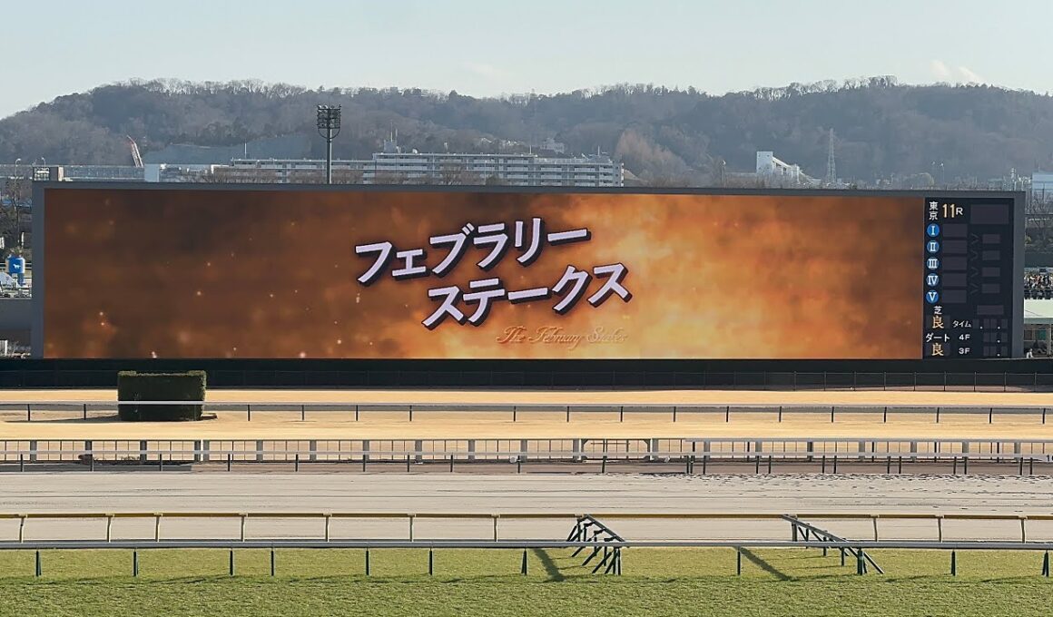 【フェブラリーS 2026】カッコいい煽りV〜今年初G1ファンファーレ【現地4K撮影】