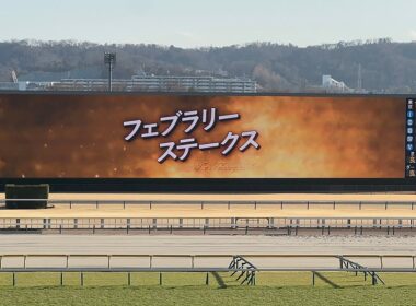 【フェブラリーS 2026】カッコいい煽りV〜今年初G1ファンファーレ【現地4K撮影】