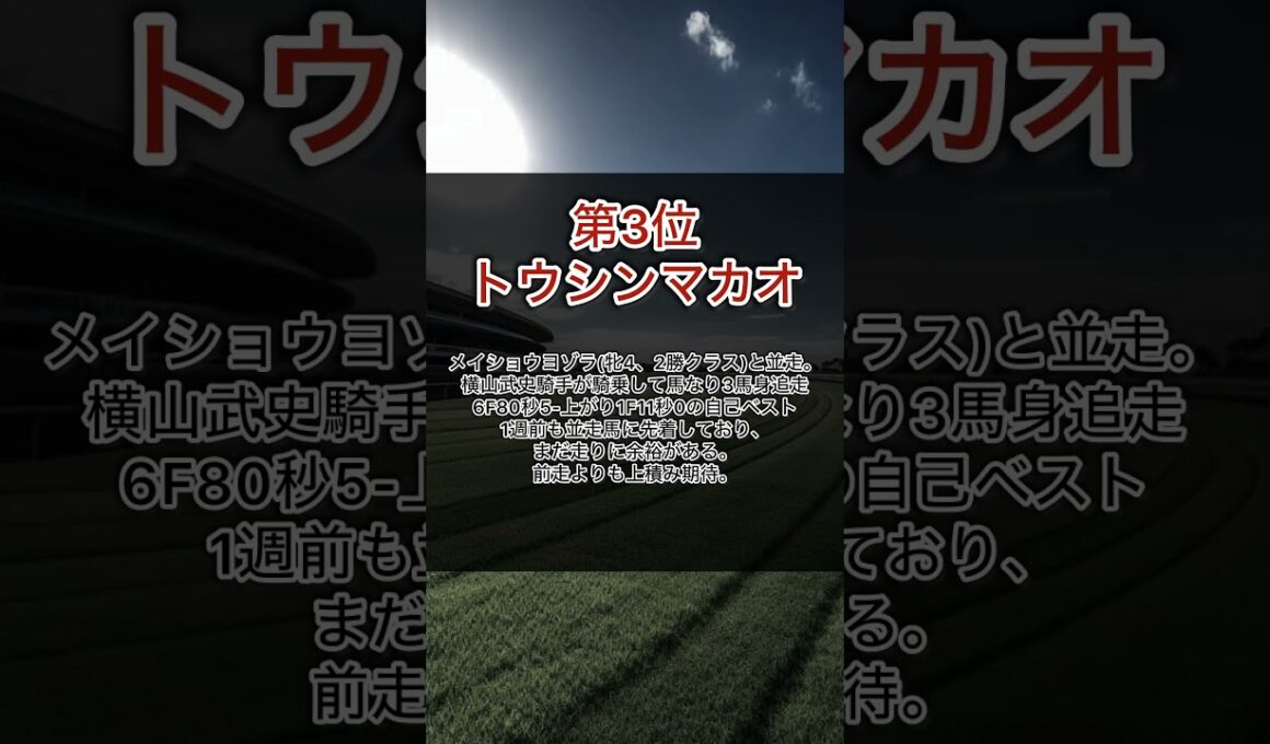 【高松宮記念2025】調教高評価はあの馬。黒オッズの逆襲#競馬 #中央競馬予想