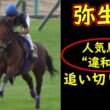 【弥生賞2026追い切り診断】人気馬に違和感…明暗分かれた最終調教評価｜皐月賞トライアル徹底考察