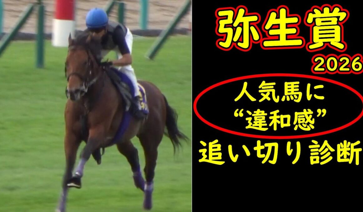 【弥生賞2026追い切り診断】人気馬に違和感…明暗分かれた最終調教評価｜皐月賞トライアル徹底考察