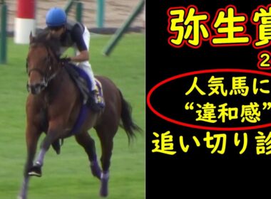 【弥生賞2026追い切り診断】人気馬に違和感…明暗分かれた最終調教評価｜皐月賞トライアル徹底考察