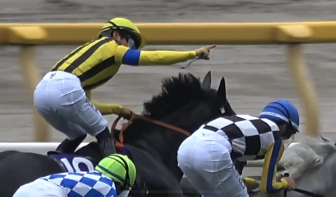 【現地】2025 G1 安田記念 ジャンタルマンタル 川田 将雅 約束したガッツポーズ【生ファンファーレ 東京競馬場 東京トゥインクルファンファーレ】