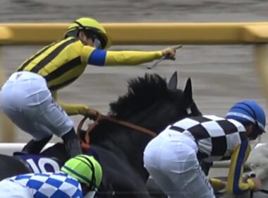 【現地】2025 G1 安田記念 ジャンタルマンタル 川田 将雅 約束したガッツポーズ【生ファンファーレ 東京競馬場 東京トゥインクルファンファーレ】