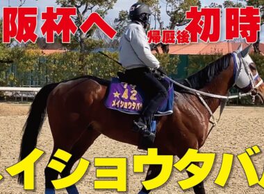 【メイショウタバル】大阪杯へ帰厩後初時計をマーク!