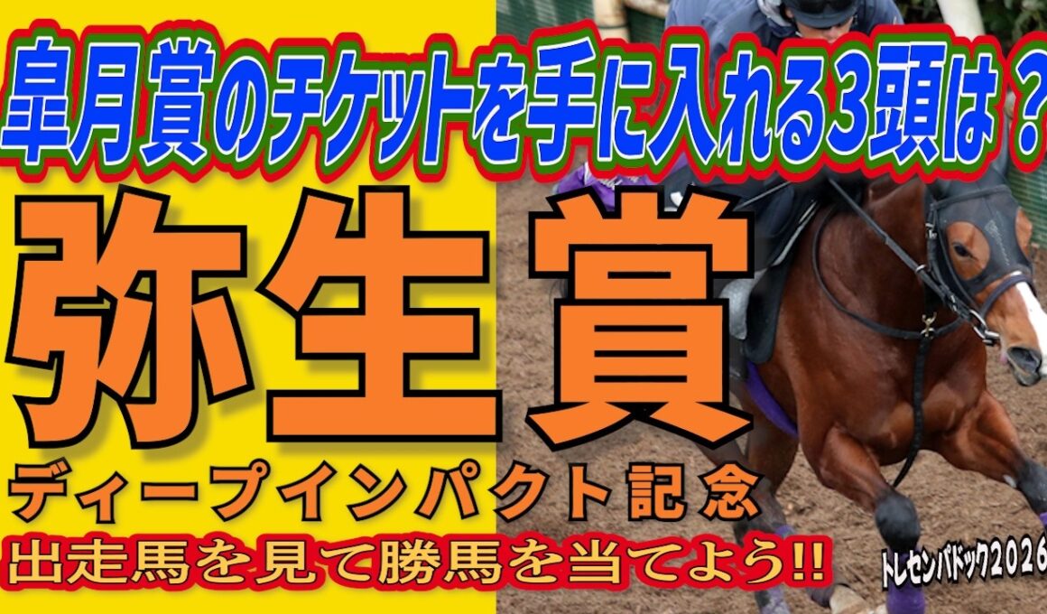 《弥生賞ディープインパクト記念》皐月賞のチケットを手に入れる3頭は？//出走馬を見て相馬眼を磨き、勝馬を探し出す『必須動画』！【トレセンパドック2026】