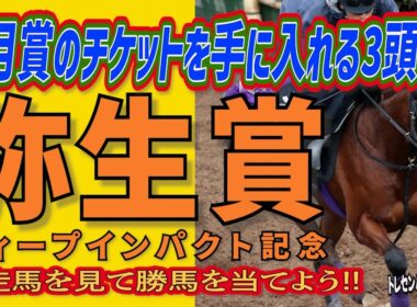 《弥生賞ディープインパクト記念》皐月賞のチケットを手に入れる3頭は？//出走馬を見て相馬眼を磨き、勝馬を探し出す『必須動画』！【トレセンパドック2026】
