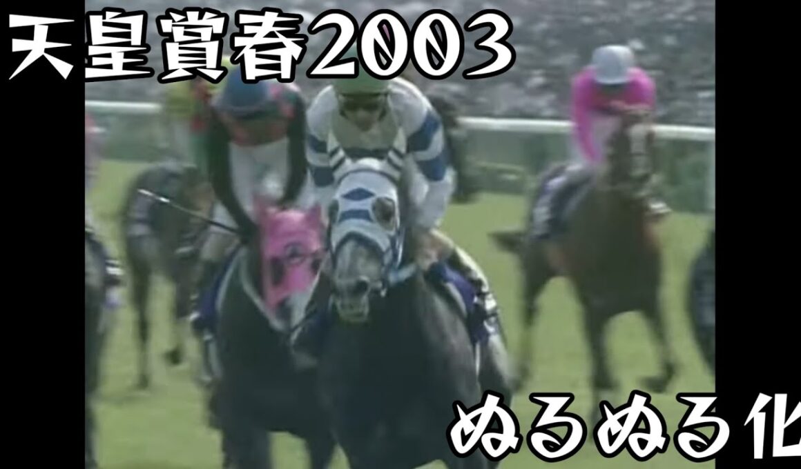 ヒシミラクル  天皇賞春 2003 ぬるぬる化で見よう conv to 60fps
