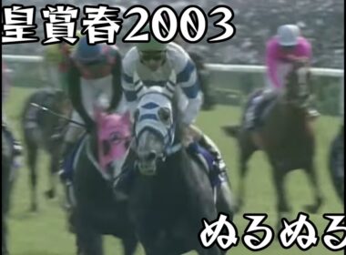 ヒシミラクル  天皇賞春 2003 ぬるぬる化で見よう conv to 60fps