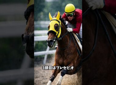 フィリーズレビュー2026最終追い切り注目馬3頭！桜花賞トライアルで状態が良いのはこの馬