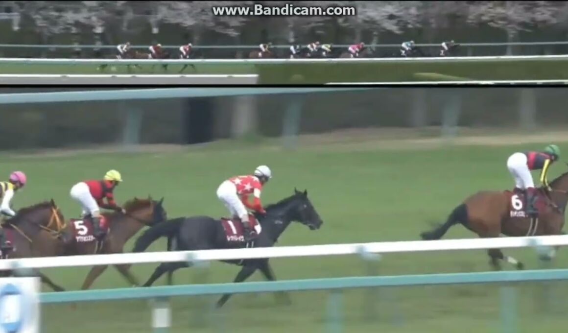 2016 産経大阪杯 (GII)　アンビシャス