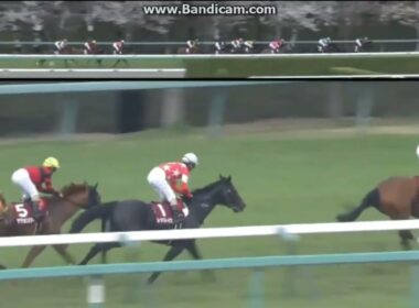 2016 産経大阪杯 (GII)　アンビシャス