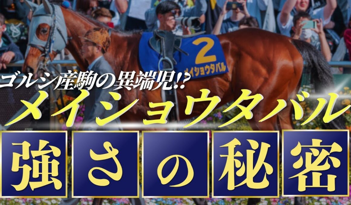 【血統のロマン】ゴールドシップ産駒の異端児!?宝塚記念勝ち馬メイショウタバルの強さのヒミツに迫る!!高速巡航能力はメジロマックイーン譲り!? byエムイシ