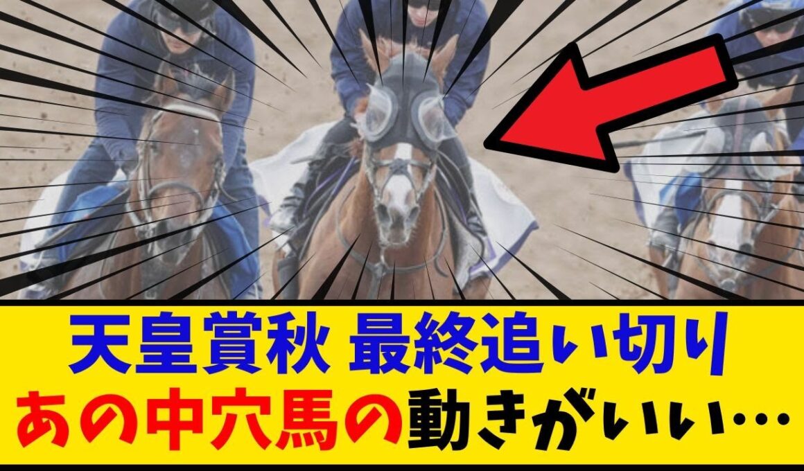 【天皇賞秋】「最終追い切り あの中穴馬の動きがいいみたい…」に対するみんなの反応【反応集】