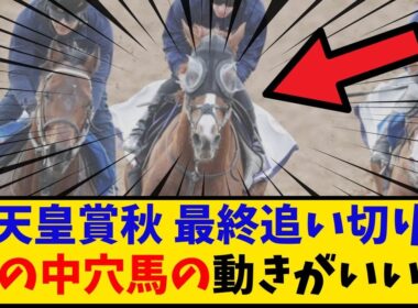【天皇賞秋】「最終追い切り あの中穴馬の動きがいいみたい…」に対するみんなの反応【反応集】