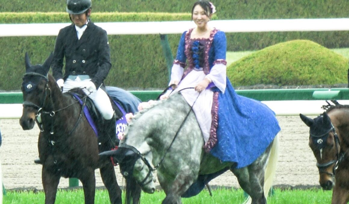 【桜花賞2025】誘導馬の職員 ドレスが雨に濡れるも美しい 着飾った誘導馬と本馬場入場 現地映像 エンブロイダリー