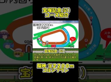 宝塚記念コース紹介