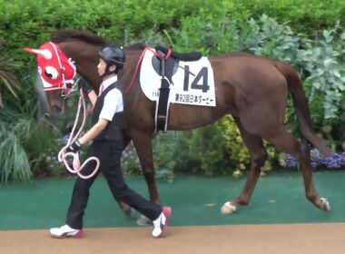 【日本ダービー2025】全頭パドックとダービーのパドックの雰囲気 現地映像 クロワデュノール