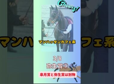 2026弥生賞③　皐月賞と弥生賞は別物