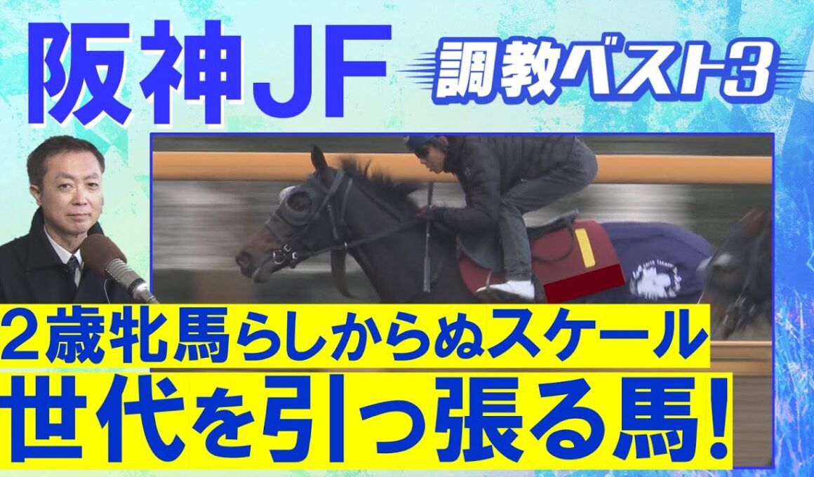 「体幹がしっかりしている」アランカール、マーゴットラヴミー、アルバンヌ・・・競馬エイト・高橋賢司トラックマンの調教解説＜阪神ジュベナイルフィリーズ(ＧⅠ)＞