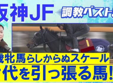 「体幹がしっかりしている」アランカール、マーゴットラヴミー、アルバンヌ・・・競馬エイト・高橋賢司トラックマンの調教解説＜阪神ジュベナイルフィリーズ(ＧⅠ)＞