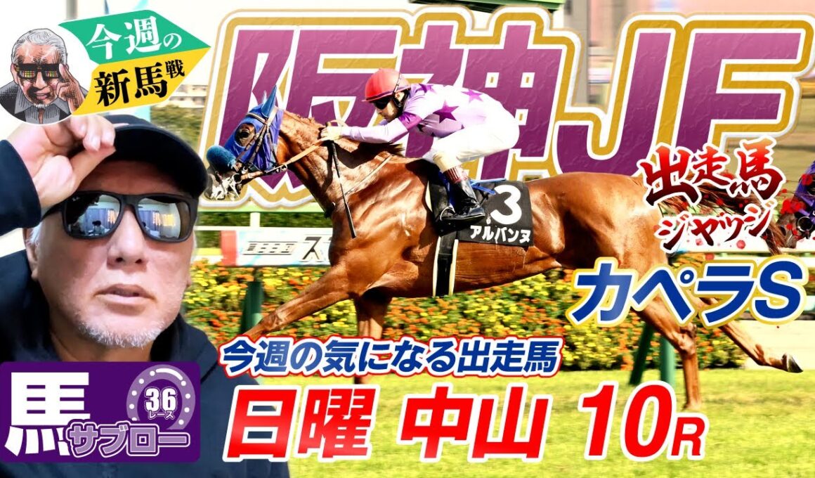 【阪神JF】出走馬ジャッジ