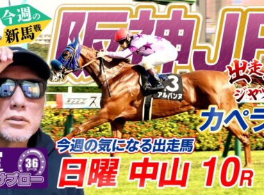 【阪神JF】出走馬ジャッジ