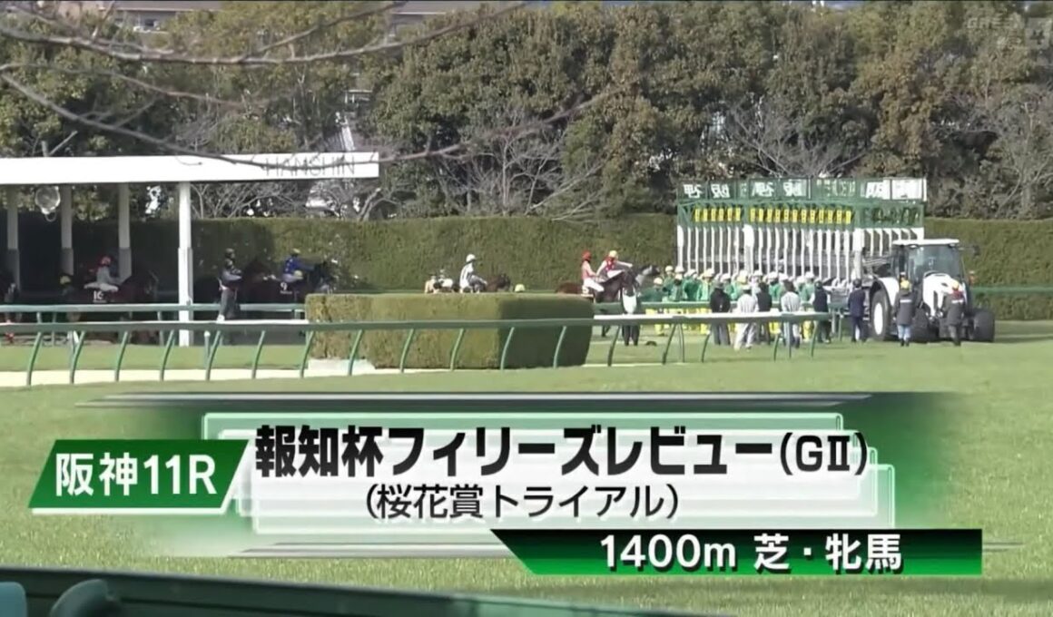 阪神11R 第60回報知杯フィリーズレビュー（GⅡ） 〈桜花賞トライアル〉