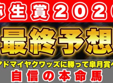【弥生賞2026 最終予想】アドマイヤクワッズを倒して皐月賞へ向かう馬！