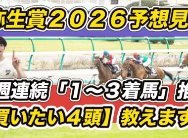 【弥生賞2026予想見解】京都記念→フェブラリーS→中山記念と3週連続1～3着推奨！「買いたい4頭」教えます