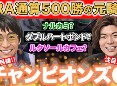 ダート重賞勝利騎手がチャンピオンカップを力説‼︎展開まで読み切る!!【#チャンピオンズカップ #競馬予想  #松田大作】