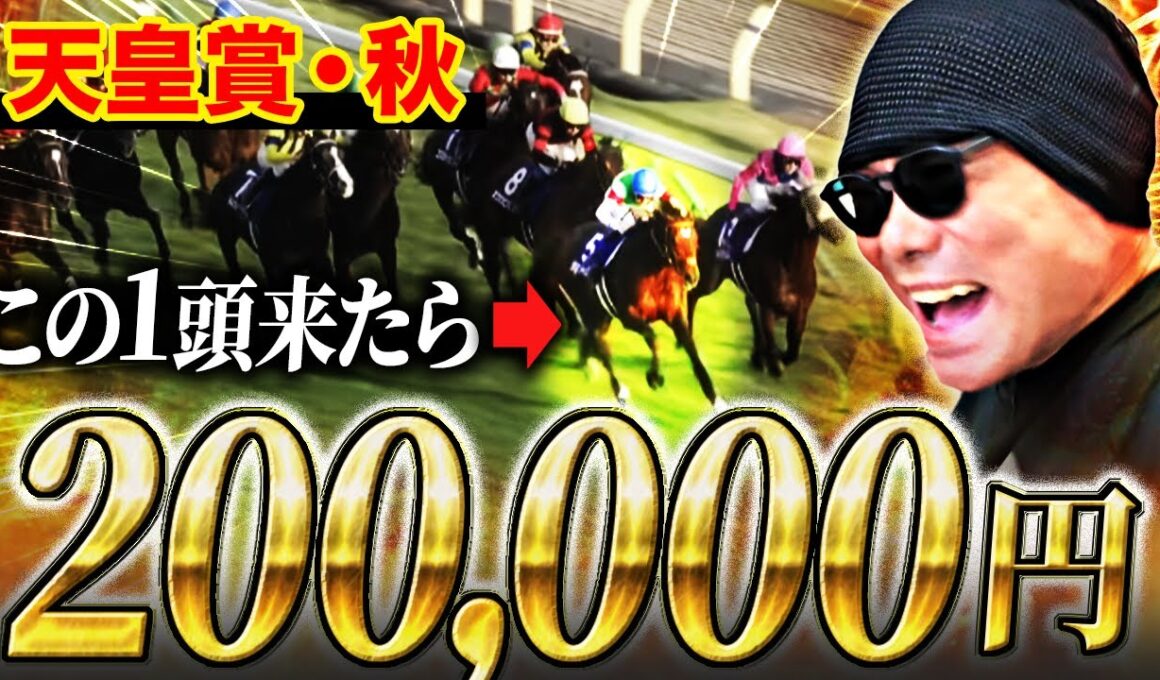 【天皇賞・秋 2025】"秋の盾"を巡る大一番のレース！馬場傾向から上げた本命◎が激走！高額配当を狙ったレースの結果は...?【競馬】