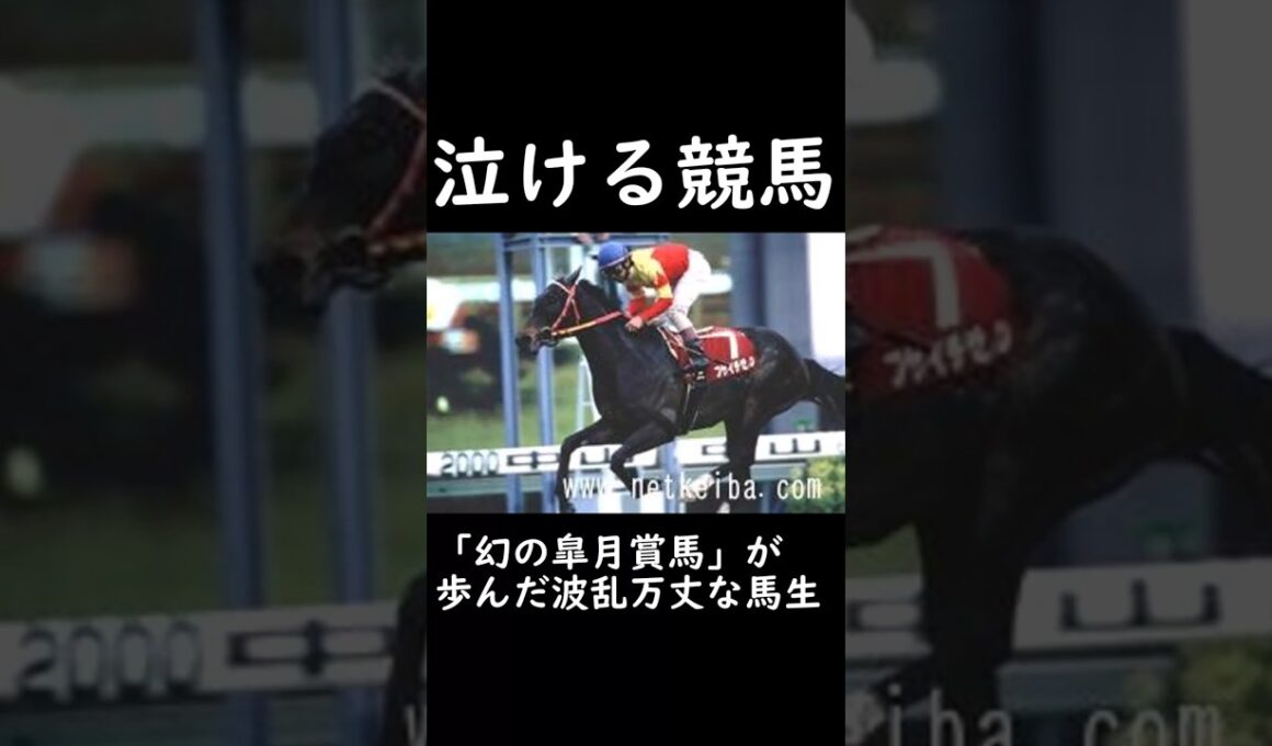 【泣ける競馬】「幻の皐月賞馬」が歩んだ波乱万丈な馬生【ゆっくり解説】#shorts #競馬 #弥生賞