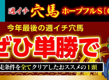 【ホープフルS】余計な馬券は不要！ここは単勝１点で爆勝ちだ！