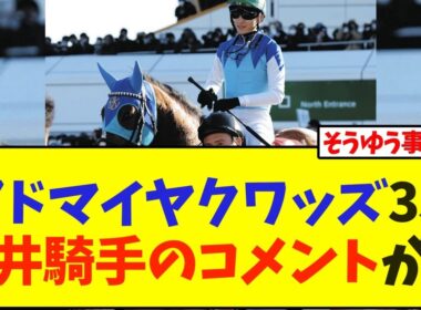 【弥生賞】アドマイヤクワッズ3着、坂井騎手のレース後コメント出たけど…【競馬】