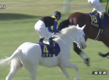 2021年 第81回 桜花賞 (G1)(ソダシ、吉田隼人)