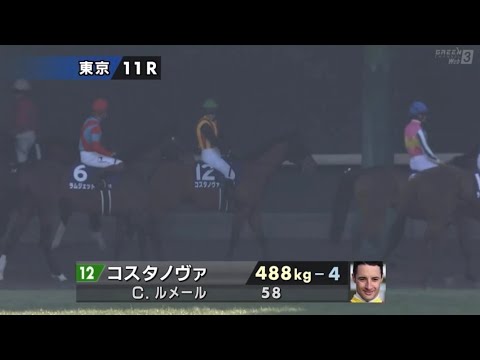 2026年第43回フェブラリーステークス〔GⅠ〕本馬場入場